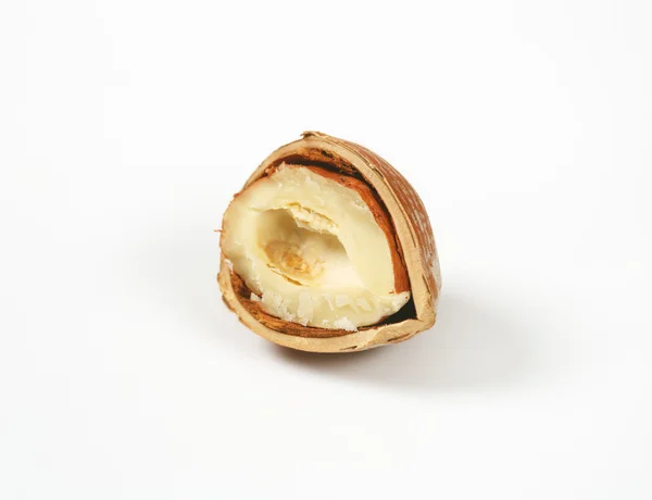 Freshly cracked hazelnut — Stock Photo, Image