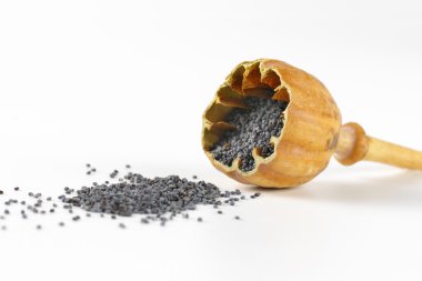 açık haşhaş tohumu baş ve tohumlar