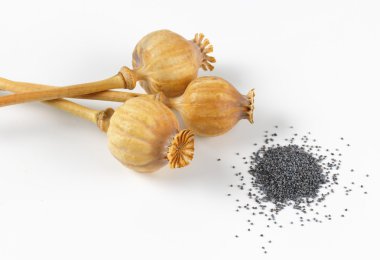 haşhaş tohumu başkanları ve poppyseeds