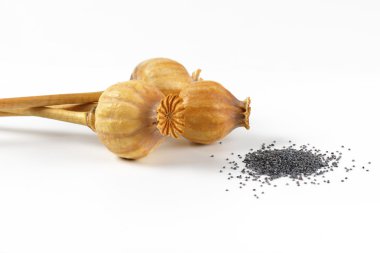 haşhaş tohumu başkanları ve poppyseeds