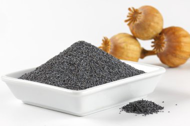 haşhaş tohumu ve kuru tohum başkanları