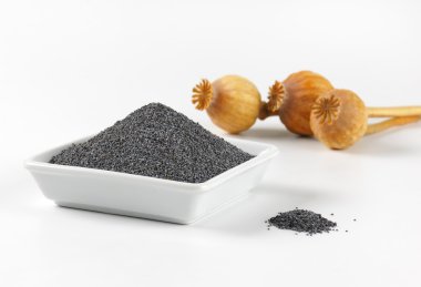 haşhaş tohumu ve kuru tohum başkanları