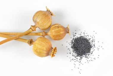 haşhaş tohumu başkanları ve poppyseeds