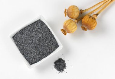 haşhaş tohumu ve kuru tohum başkanları