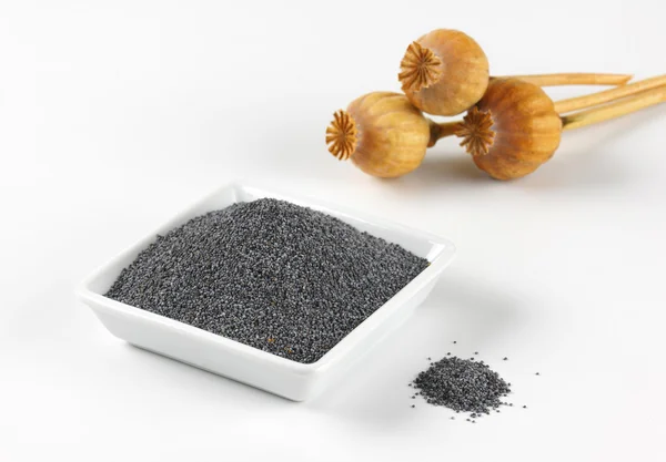Semințe de mac și capete uscate de semințe — Fotografie, imagine de stoc