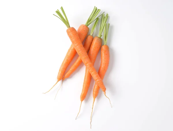 Całe, świeże marchewki — Zdjęcie stockowe