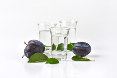 Erik brendi (slivovitz çekim)