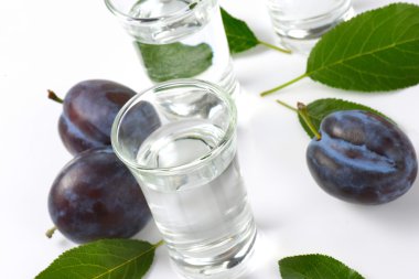 Erik brendi (slivovitz çekim)