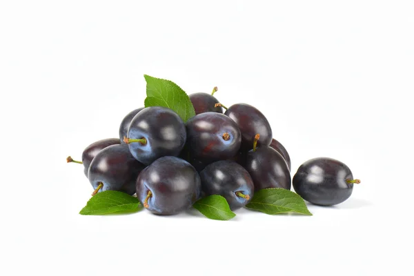 Ripe blue plums — Stock Photo, Image