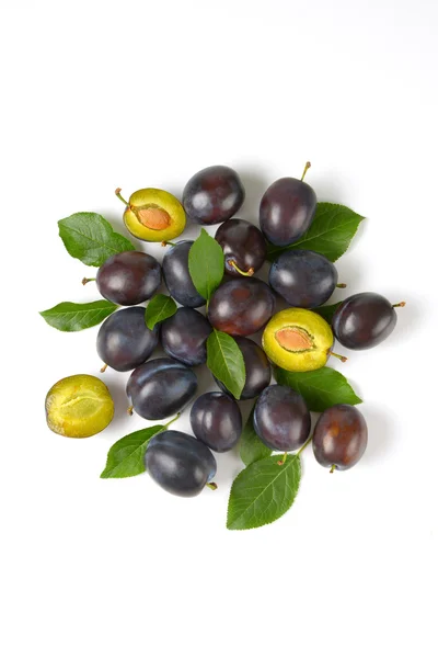 Fresh ripe plums — Stock Photo, Image