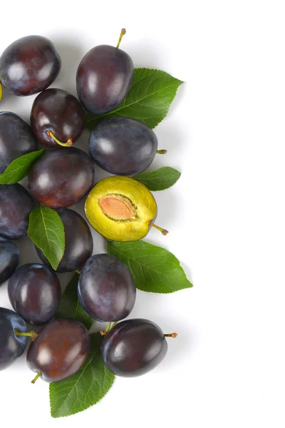 Fresh ripe plums — Stock Photo, Image