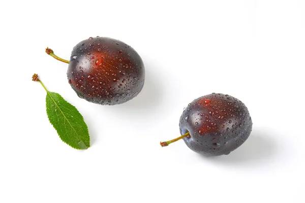 Two wet plums — Stock Photo, Image
