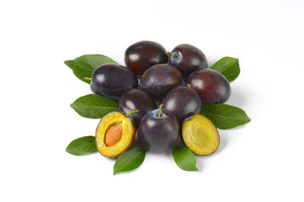 Ciruelas frescas maduras — Foto de Stock