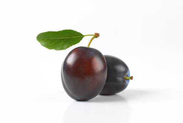 Ripe damson plums — Stock Photo, Image