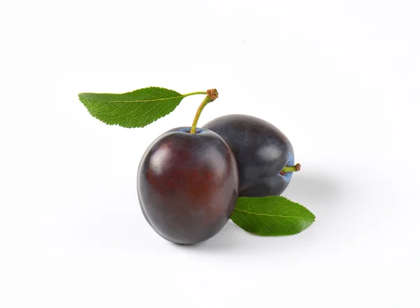 Ripe damson plums — Stock Photo, Image