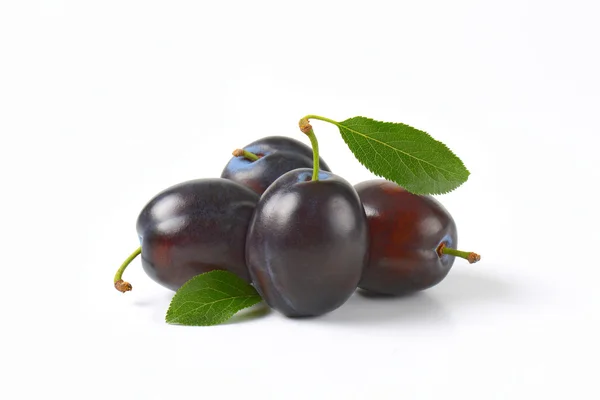 Four ripe plums — Stock Photo, Image