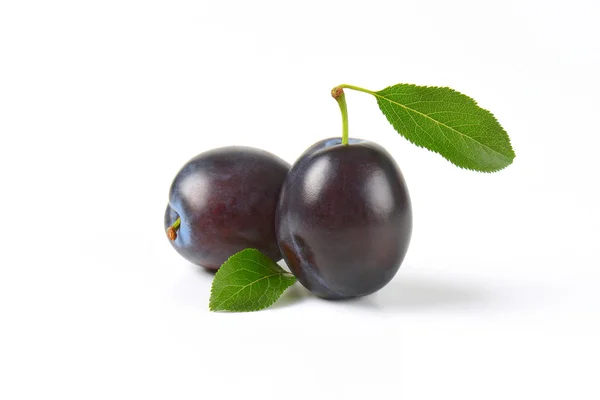 Two ripe plums — Stock Photo, Image