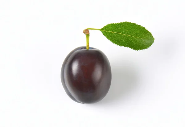 Single ripe plum — Stock Photo, Image