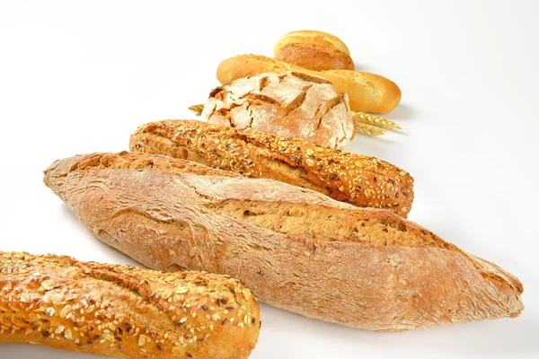 Various types of fresh bread — Stock Photo, Image