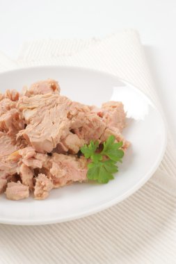 konserve ton balığı parçalarını