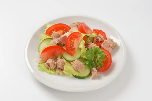 Vegetabiliska tonfisk sallad — Stockfoto