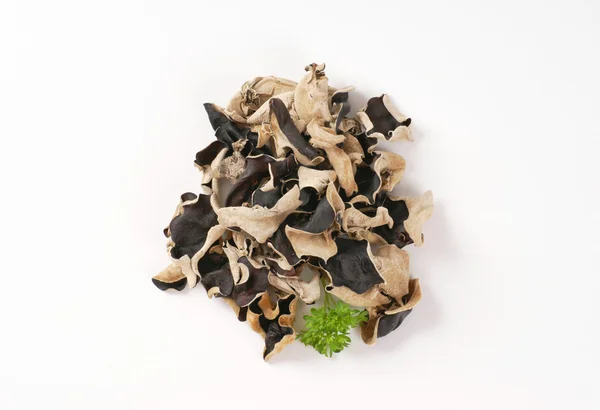 Funghi dell'orecchio di legno — Foto Stock