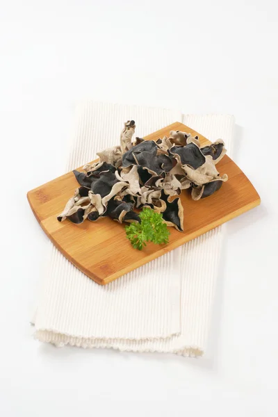 Cogumelos de orelha de madeira — Fotografia de Stock