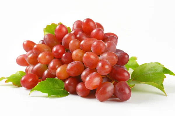 Olgun kırmızı üzüm — Stok fotoğraf