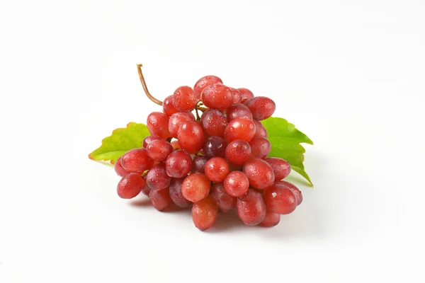 Nedves vörös szőlő — Stock Fotó