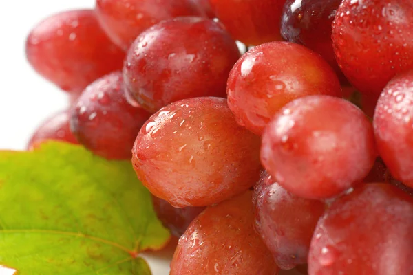湿红葡萄 — 图库照片