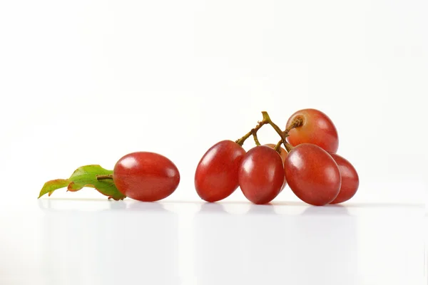 Uve rosse fresche — Foto Stock