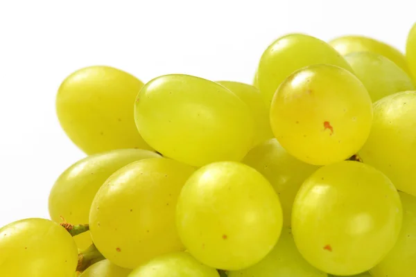 White table grapes — Stock Photo, Image