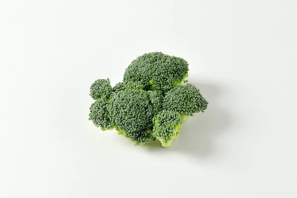 Frischer Kopf von Brokkoli — Stockfoto