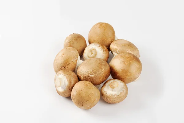 Сырые кремовые грибы — стоковое фото