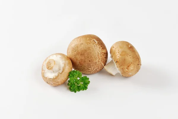 RAW cremini гриби — стокове фото