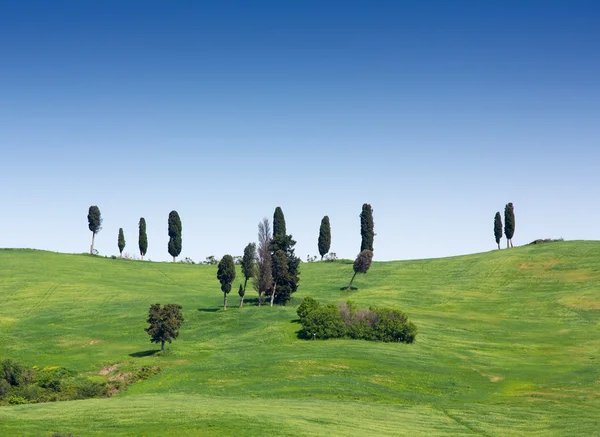 Toskánská krajina u Volterra v Itálii — Stock fotografie