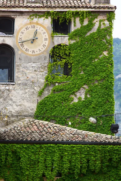 Belfort bedekt met groene klimop — Stockfoto