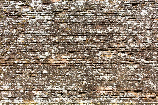 Aged brick wall — Stock Photo, Image