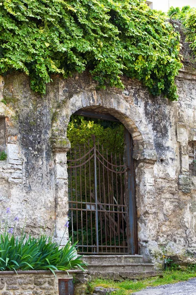 Gated arched entrance in a weathered wall covered with ivy — Stock Photo, Image
