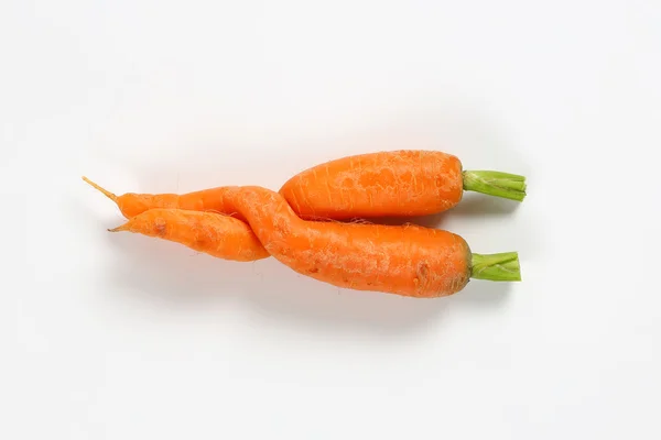 Dos zanahorias retorcidas —  Fotos de Stock