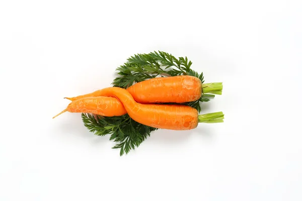 Two twisted carrots — Stock Photo, Image