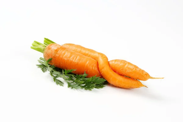 Two twisted carrots — Stock Photo, Image