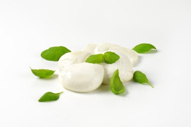 Mozzarella peyniri ve taze fesleğen
