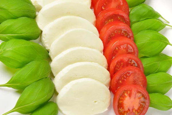 Mozzarella, tomatoes and fresh basil — Stock Photo, Image