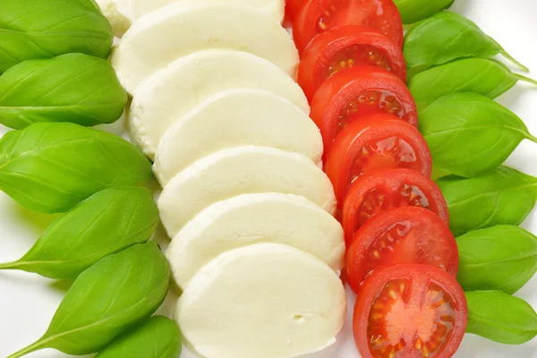 Mozzarella, Tomaten und frisches Basilikum — Stockfoto