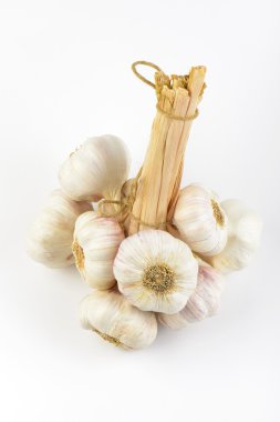 sarımsak başları demet