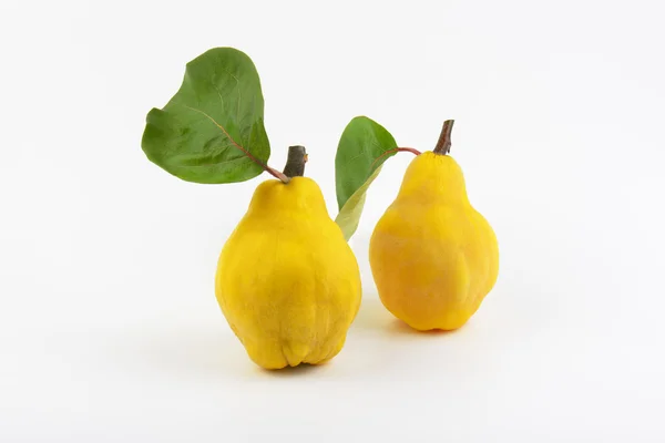 Duas peras amarelas — Fotografia de Stock