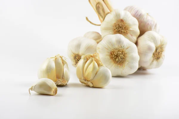 Knoflook bollen en kruidnagel — Stockfoto