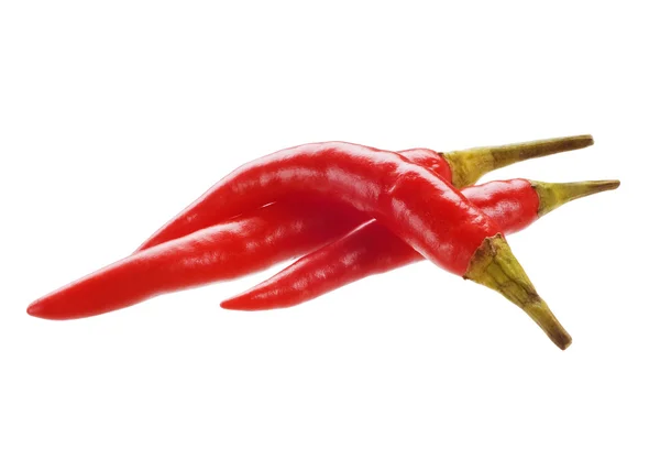 Röd chilipeppar — Stockfoto