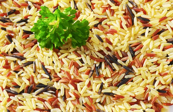 Arroz misto — Fotografia de Stock